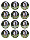 Ace Ventura Pet Detective Party Favors Supplies Decorations Stickers 12 Pcs