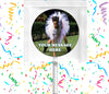 Ace Ventura Pet Detective Lollipops Party Favors Personalized Suckers 12 Pcs