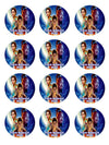 Aladdin Party Favors Supplies Decorations Stickers 12 Pcs