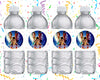 Aladdin Water Bottle Stickers 12 Pcs Labels Party Favors Supplies Decorations