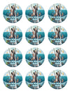 Archer Party Favors Supplies Decorations Stickers 12 Pcs