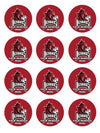 Arkansas Razorbacks Party Favors Supplies Decorations Stickers 12 Pcs