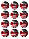 Austin Peay Governors Party Favors Supplies Decorations Stickers 12 Pcs