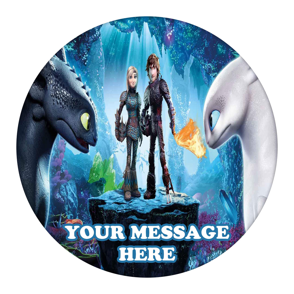 How To Train Your Dragon Edible Image Cake Topper Personalized Birthday Sheet Custom Frosting Round Circle