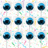 Carolina Panthers Lollipops Party Favors Personalized Suckers 12 Pcs