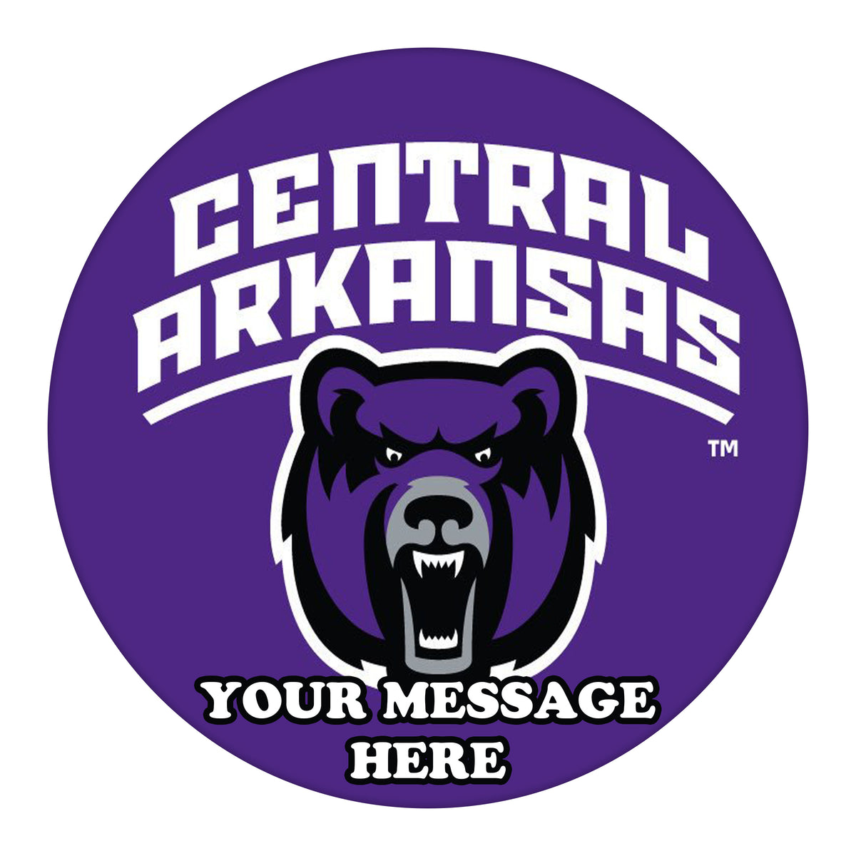 Central Arkansas Bears Edible Image Cake Topper Personalized Birthday Sheet Custom Frosting Round Circle