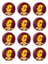 Central Michigan Chippewas Edible Cupcake Toppers (12 Images) Cake Image Icing Sugar Sheet