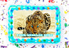 Cheetah Edible Image Cake Topper Personalized Birthday Sheet Decoration Custom Party Frosting Transfer Fondant