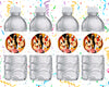 Chip N Dale Water Bottle Stickers 12 Pcs Labels Party Favors Supplies Decorations