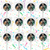 Connor McGregor Lollipops Party Favors Personalized Suckers 12 Pcs