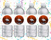 Denver Broncos Water Bottle Stickers 12 Pcs Labels Party Favors Supplies Decorations