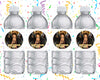 Dolittle Water Bottle Stickers 12 Pcs Labels Party Favors Supplies Decorations