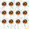 DuckTales Lollipops Party Favors Personalized Suckers 12 Pcs