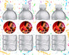 Elena Of Avalor Water Bottle Stickers 12 Pcs Labels Party Favors Supplies Decorations