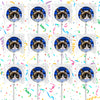 Grumpy Cat Lollipops Party Favors Personalized Suckers 12 Pcs