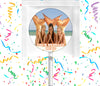 H2O Just Add Water Lollipops Party Favors Personalized Suckers 12 Pcs