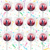 Houston Texans Lollipops Party Favors Personalized Suckers 12 Pcs