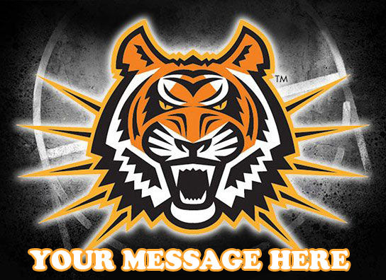 Idaho State Bengals Edible Image Cake Topper Personalized Birthday Sheet Decoration Custom Party Frosting Transfer Fondant