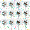 Kung Fu Panda Lollipops Party Favors Personalized Suckers 12 Pcs