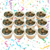 Niall Horan Edible Cupcake Toppers (12 Images) Cake Image Icing Sugar Sheet