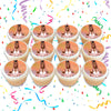 Nicki Minaj Edible Cupcake Toppers (12 Images) Cake Image Icing Sugar Sheet