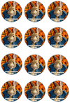 Peter Rabbit Edible Cupcake Toppers (12 Images) Cake Image Icing Sugar Sheet Edible Cake Images