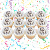 Post Malone Edible Cupcake Toppers (12 Images) Cake Image Icing Sugar Sheet