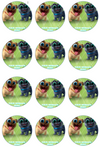 Puppy Dog Pals Edible Cupcake Toppers (12 Images) Cake Image Icing Sugar Sheet Edible Cake Images