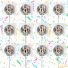 Sex In The City Lollipops Party Favors Personalized Suckers 12 Pcs