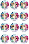 Shimmer And Shine Edible Cupcake Toppers (12 Images) Cake Image Icing Sugar Sheet Edible Cake Images