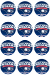 Southern Indiana Screaming Eagles Edible Cupcake Toppers (12 Images) Cake Image Icing Sugar Sheet Edible Cake Images