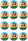 Spirit: Stallion of the Cimarron Edible Cupcake Toppers (12 Images) Cake Image Icing Sugar Sheet Edible Cake Images