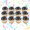 T Rex Dinosaur Edible Cupcake Toppers (12 Images) Cake Image Icing Sugar Sheet Edible Cake Images