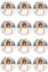 Taylor Swift Edible Cupcake Toppers (12 Images) Cake Image Icing Sugar Sheet Edible Cake Images