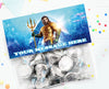 Aquaman Party Favors Supplies Decorations Candy Treat Bags 12 Pcs