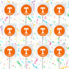 University Of Tennessee Lollipops Party Favors Personalized Suckers 12 Pcs