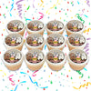 We Bare Bears Edible Cupcake Toppers (12 Images) Cake Image Icing Sugar Sheet Edible Cake Images